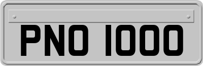 PNO1000