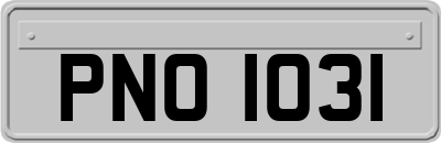 PNO1031