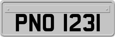PNO1231