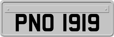 PNO1919