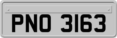 PNO3163