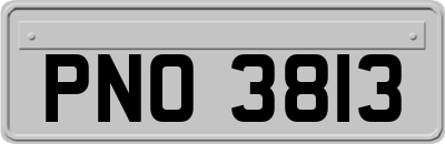 PNO3813