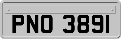 PNO3891