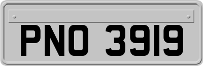 PNO3919