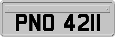 PNO4211