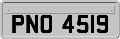 PNO4519