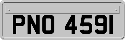 PNO4591