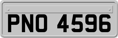 PNO4596