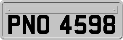 PNO4598