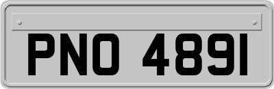 PNO4891