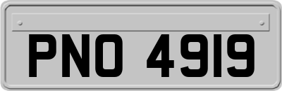 PNO4919