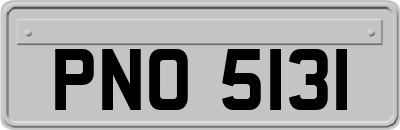 PNO5131