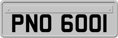 PNO6001