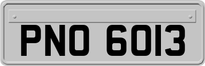 PNO6013