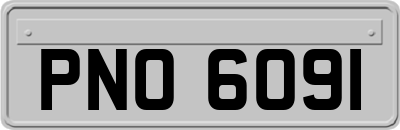 PNO6091