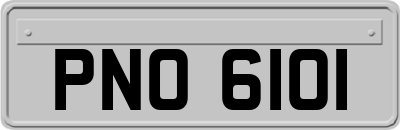 PNO6101