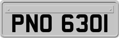 PNO6301
