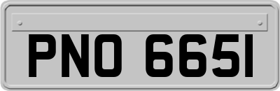 PNO6651