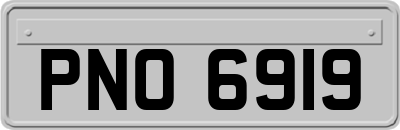 PNO6919