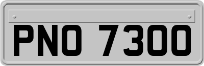 PNO7300