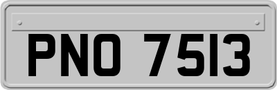 PNO7513