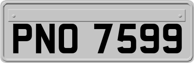 PNO7599