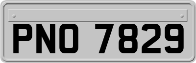 PNO7829