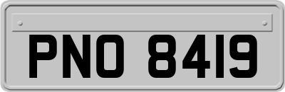 PNO8419