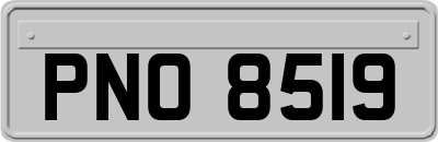 PNO8519