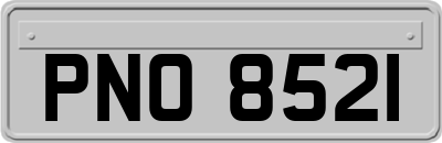 PNO8521