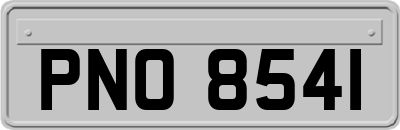 PNO8541