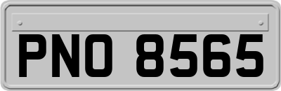 PNO8565