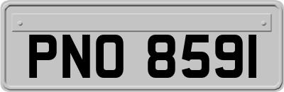 PNO8591
