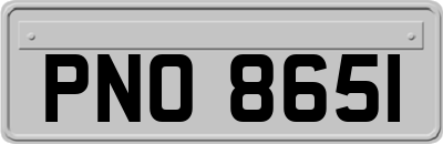 PNO8651