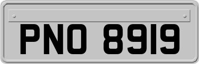 PNO8919