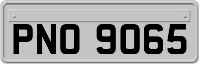 PNO9065