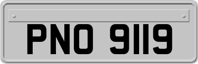 PNO9119
