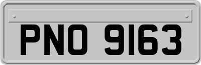 PNO9163