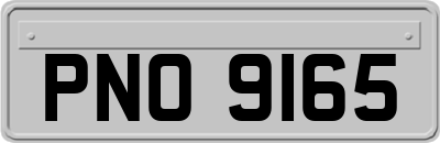 PNO9165