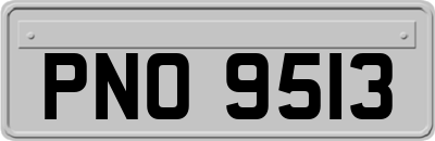 PNO9513