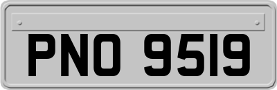 PNO9519