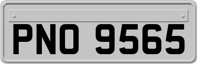 PNO9565