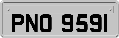 PNO9591