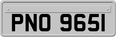 PNO9651