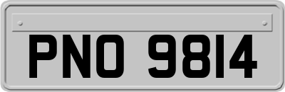 PNO9814