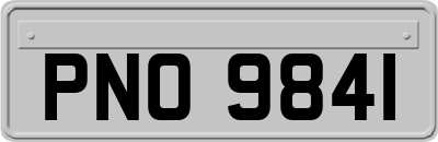 PNO9841
