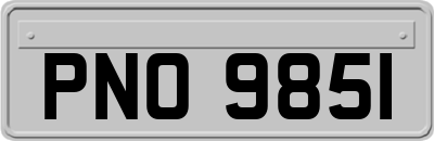 PNO9851