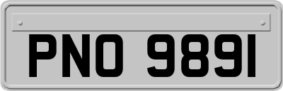 PNO9891