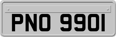 PNO9901