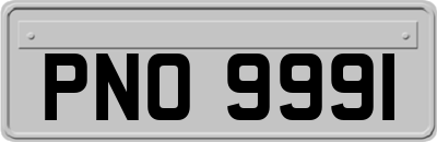 PNO9991